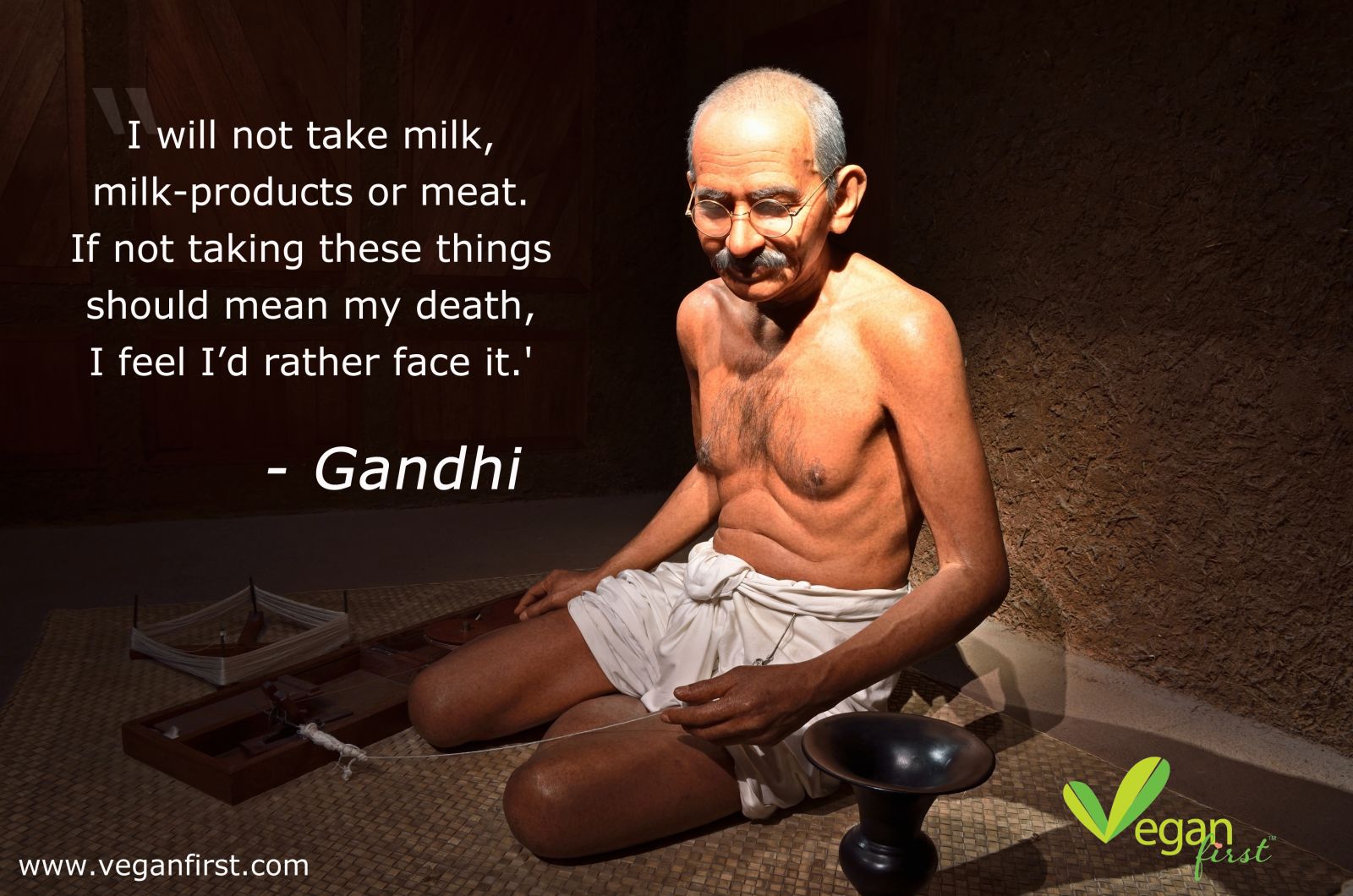 animal-rights-quotes-gandhi